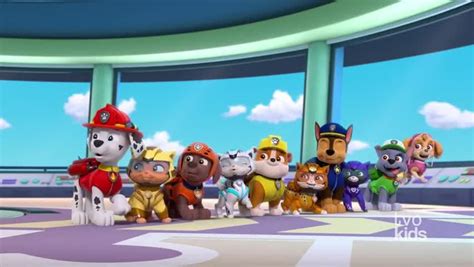 paw patrol torrentz|Season 9 .